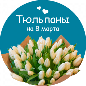Купить тюльпаны в Бирюсинске